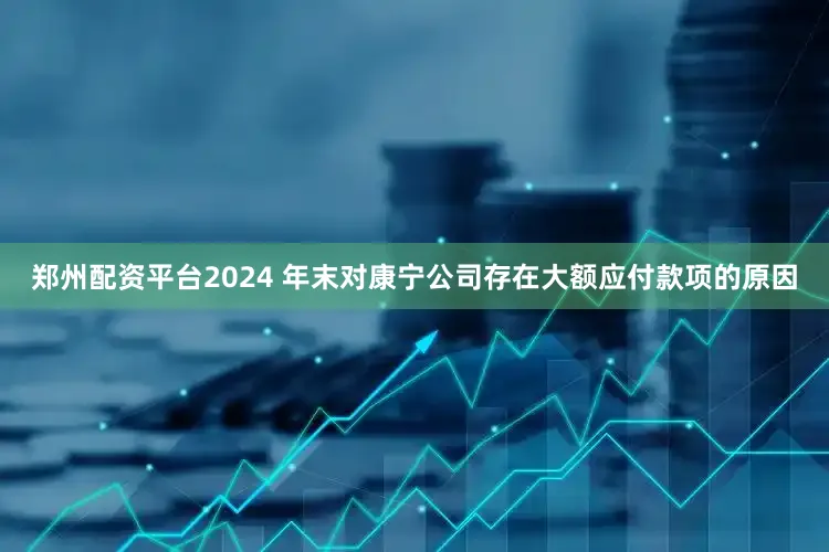 郑州配资平台2024 年末对康宁公司存在大额应付款项的原因