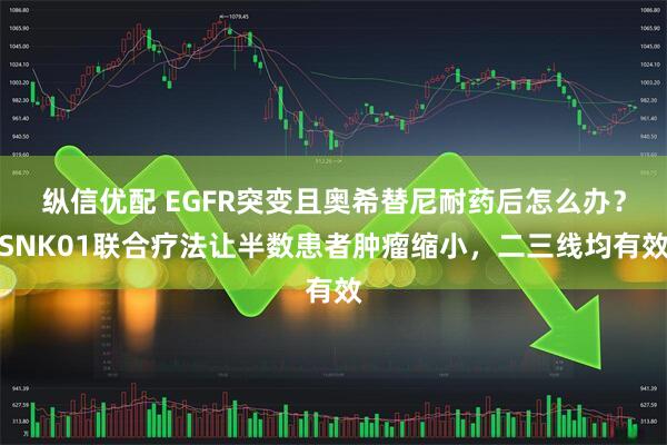 纵信优配 EGFR突变且奥希替尼耐药后怎么办？SNK01联合疗法让半数患者肿瘤缩小，二三线均有效