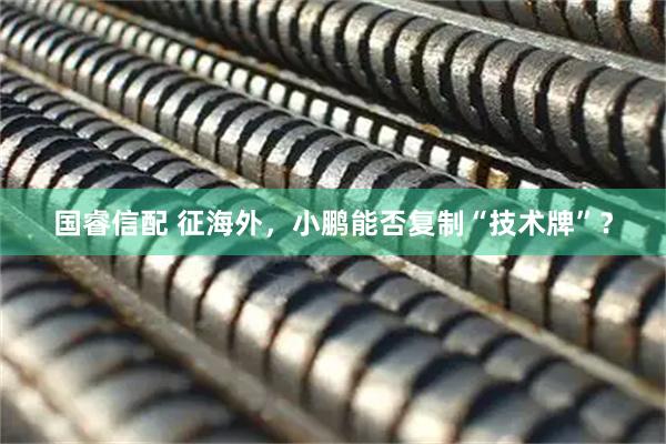 国睿信配 征海外,小鹏能否复制“技术牌”?