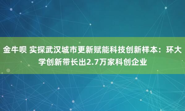 金牛呗 实探武汉城市更新赋能科技创新样本：环大学创新带长出2.7万家科创企业